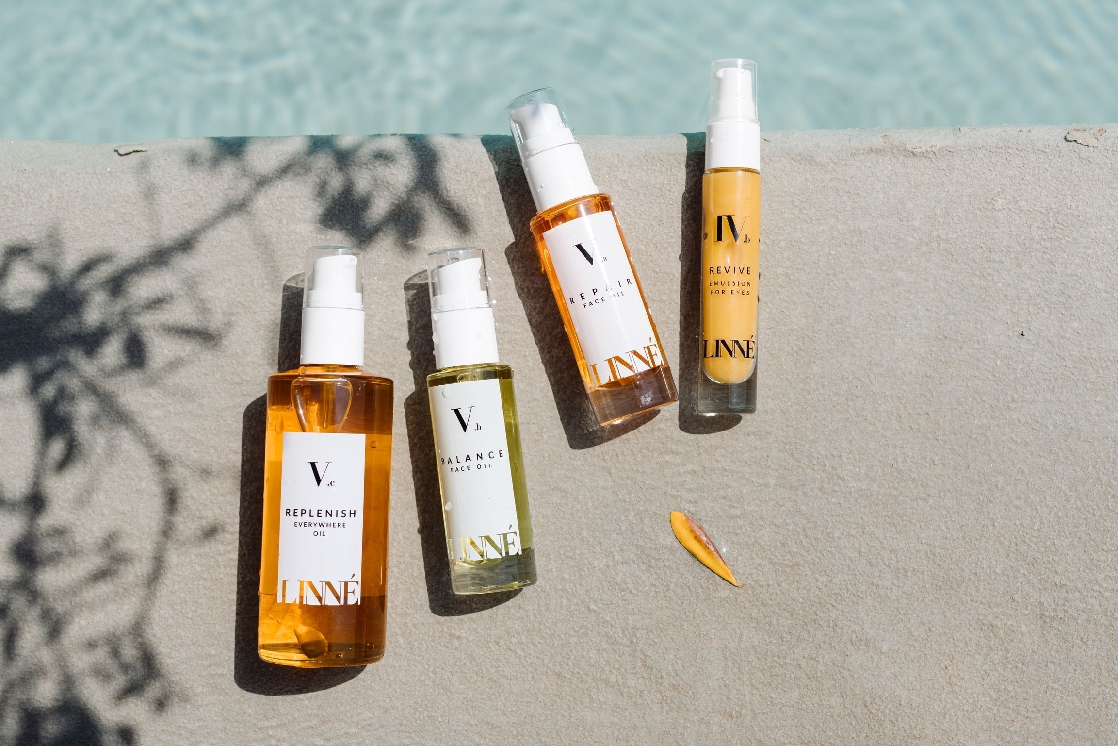 Lipids in Skincare: The Key to Resilient, Radiant Skin