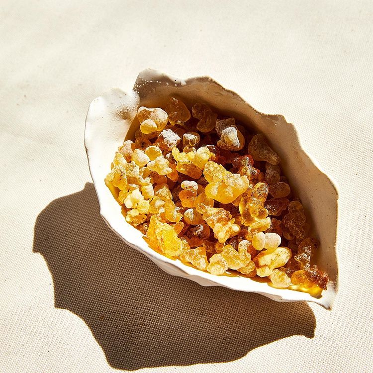 Ingredient IQ: Frankincense