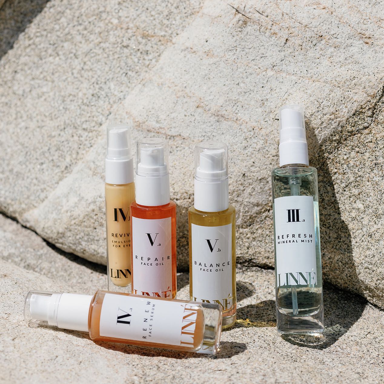 The LINNÉ Morning Routine