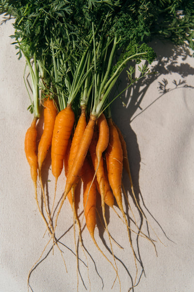 What Are the Benefits of Having Carrot in Your Skincare