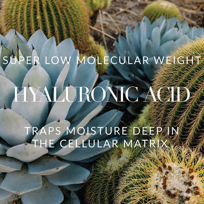 Why the Molecular Weight of Hyaluronic Acid Is Important?