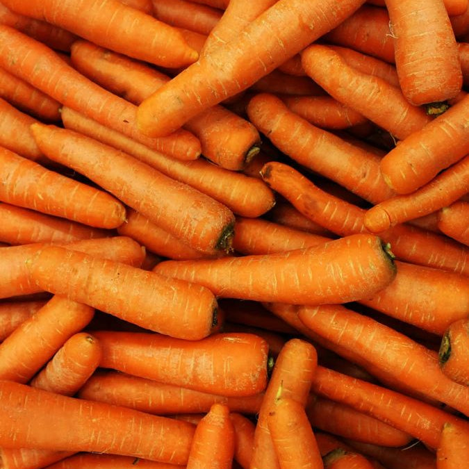 Stem Cells for Cellular Renewal