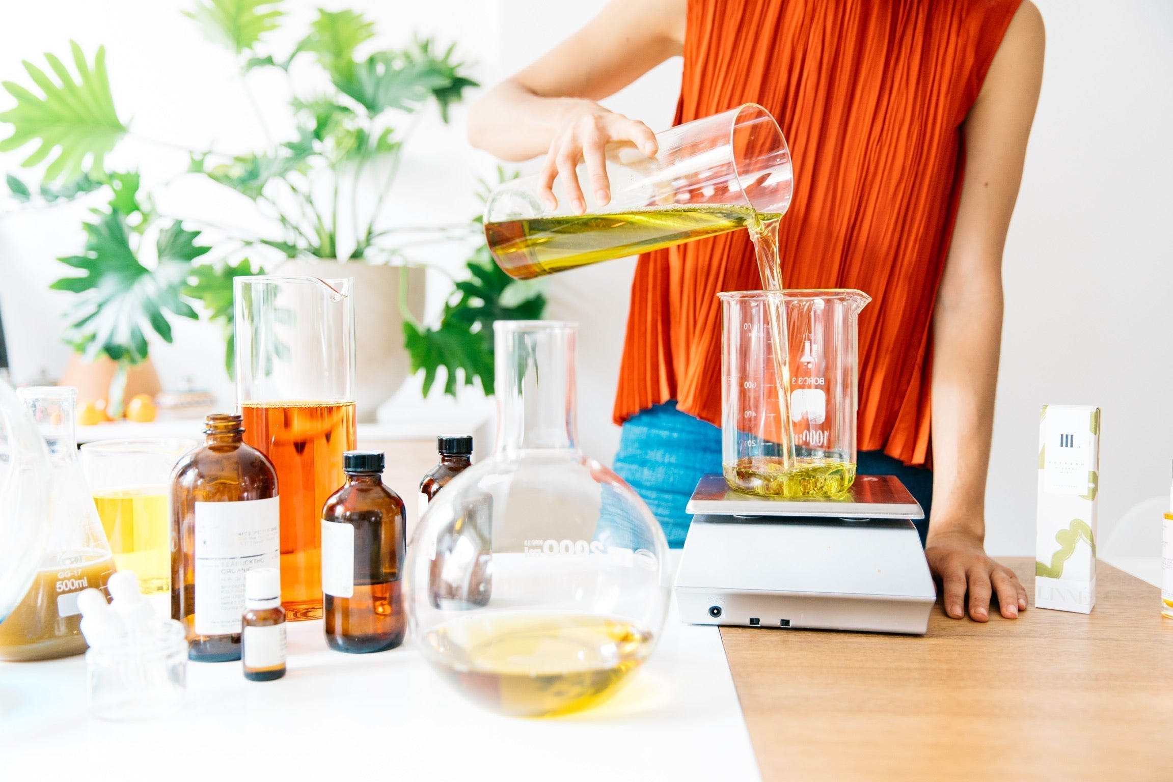 Bioavailability: The Science of Absorption