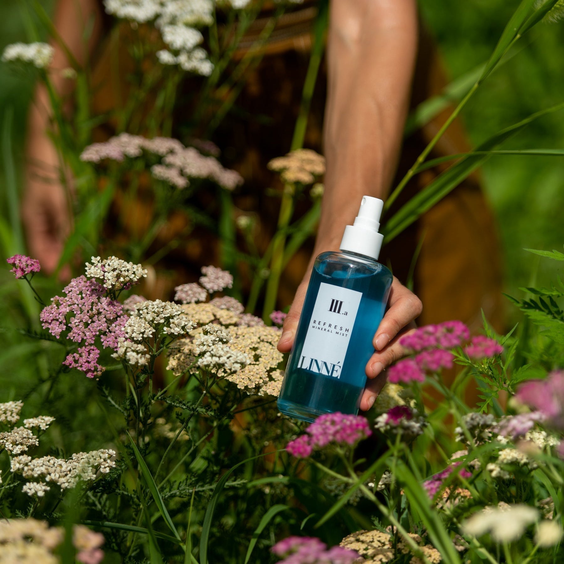 Whole Plants, Whole Skin Health