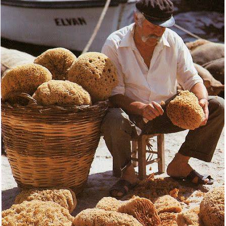 The Sea Sponge Cleansing Tool