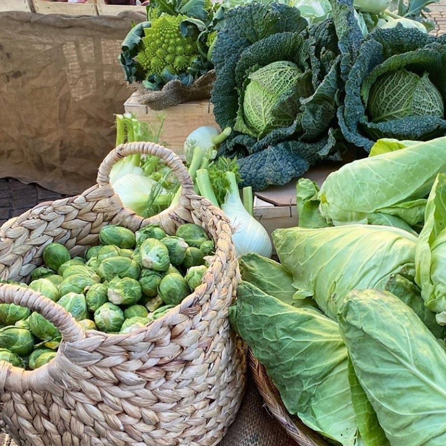 Prebiotics for Glowing Skin and A Healthy Gut