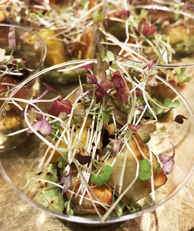 RECIPE :  Turmeric Potatoes with Avocado and Microgreens