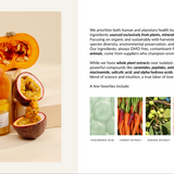 B2B Brochure