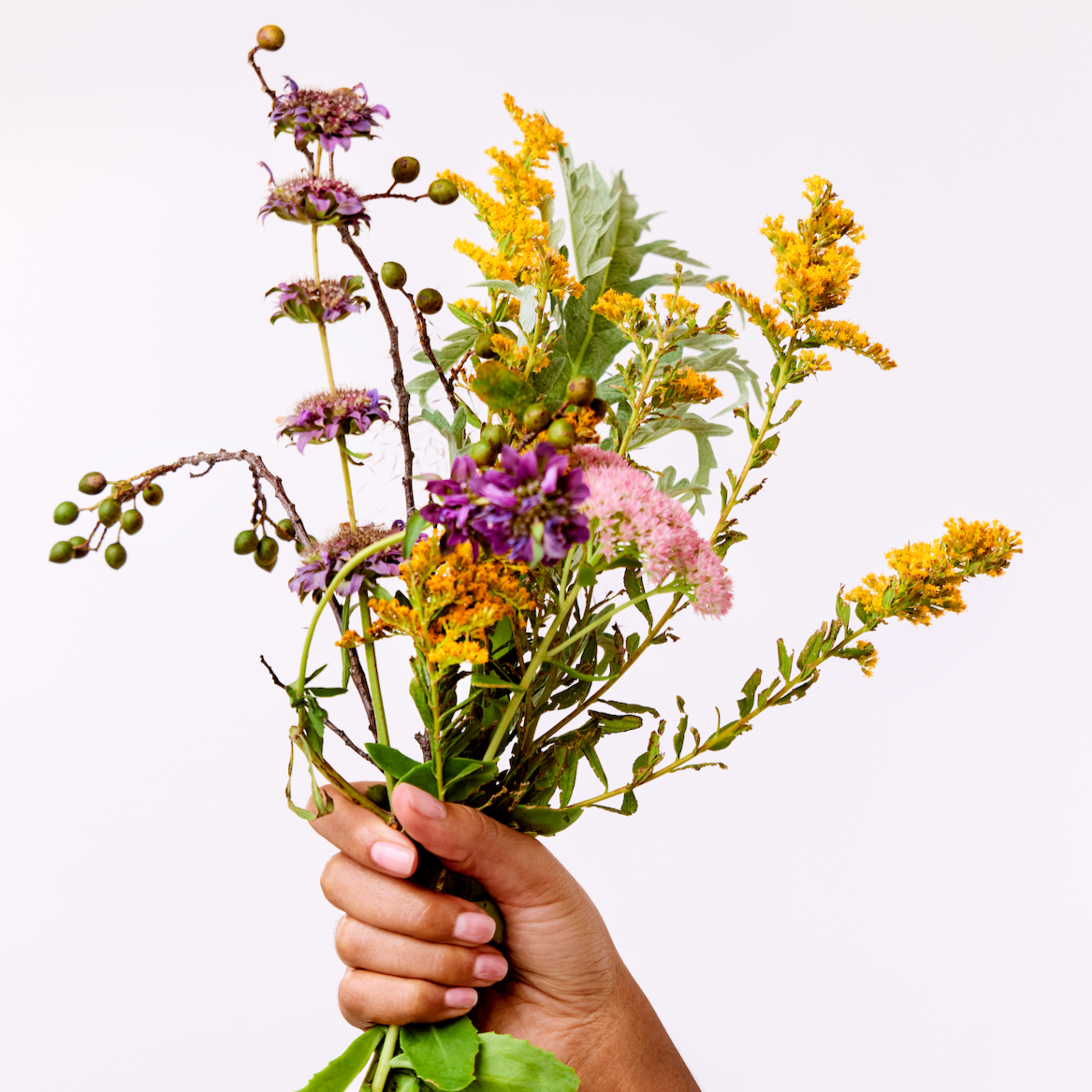 Hand holding a bouquet of wildflowers against a white background