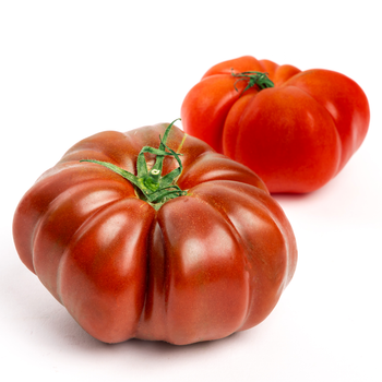 Tomato Fruit Extract