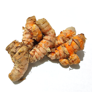 Turmeric Root Oil