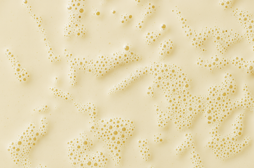 fermented lactic acid