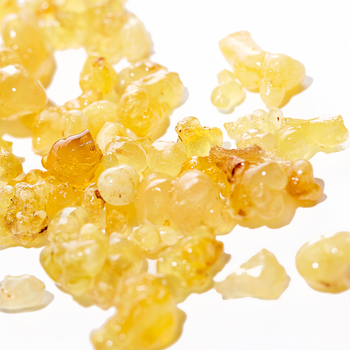 Frankincense Gum Oil