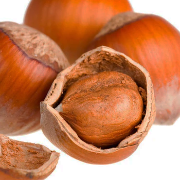 Hazelnut Oil