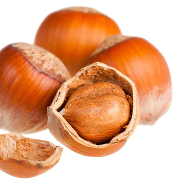 Hazelnut Oil