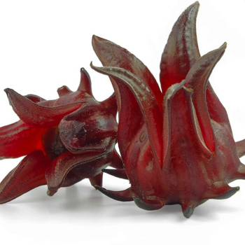 Hibiscus Extract