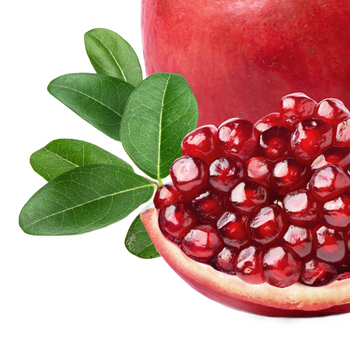 Pomegranate Fruit, Green Tea, and Caffeine Extracts